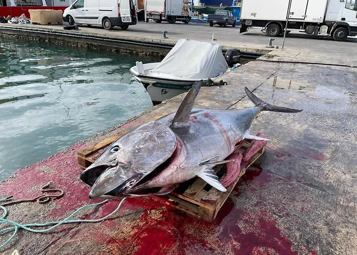 Sunset Modern 1 Bedroom Near The *