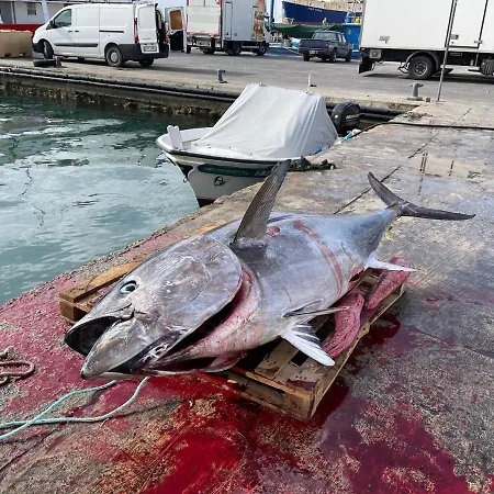 Sunset Modern 1 Bedroom Near The *